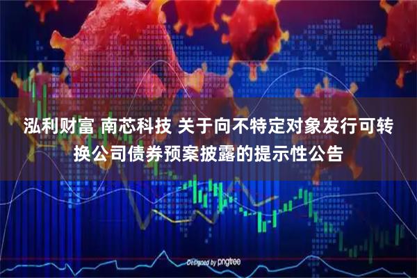 泓利财富 南芯科技 关于向不特定对象发行可转换公司债券预案披露的提示性公告